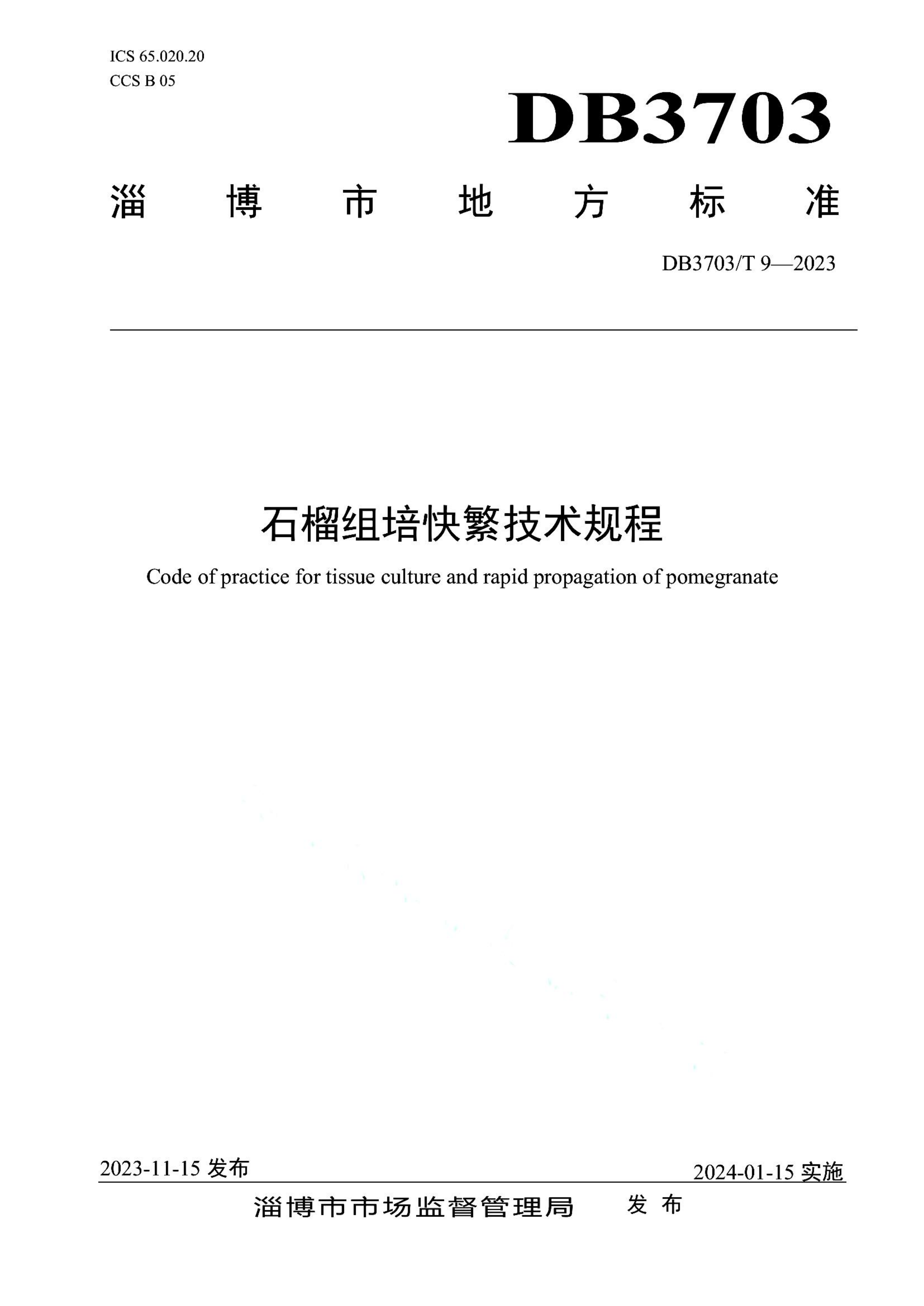 资源详情图